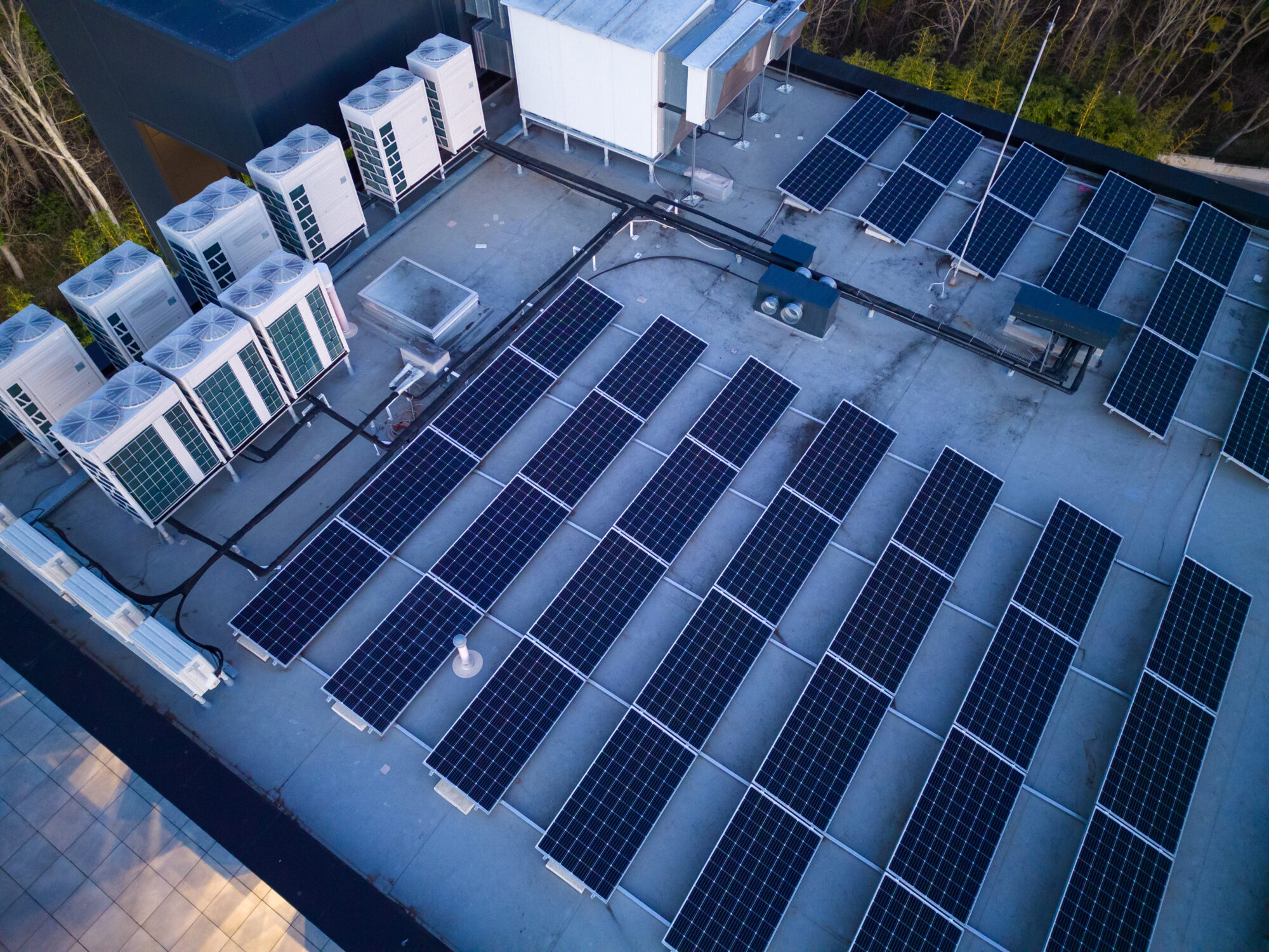 Paneles Solares Con Bater A Todo Lo Que Debes Saber